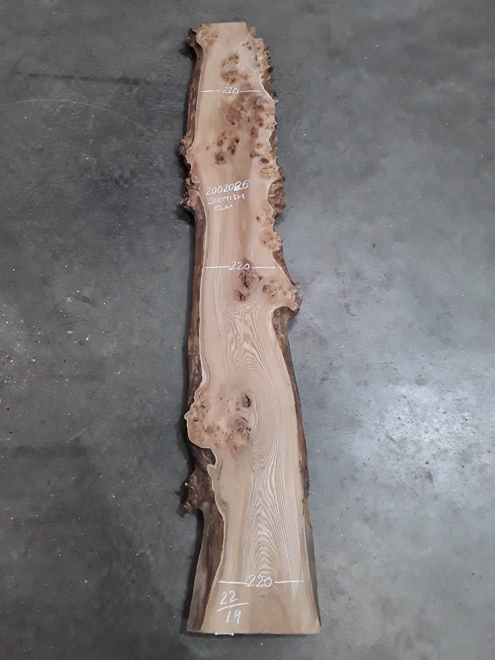 2 Planches Châtaigner Live Edge 500x220x20 Mm – Pour Signalétique, Bois Massif