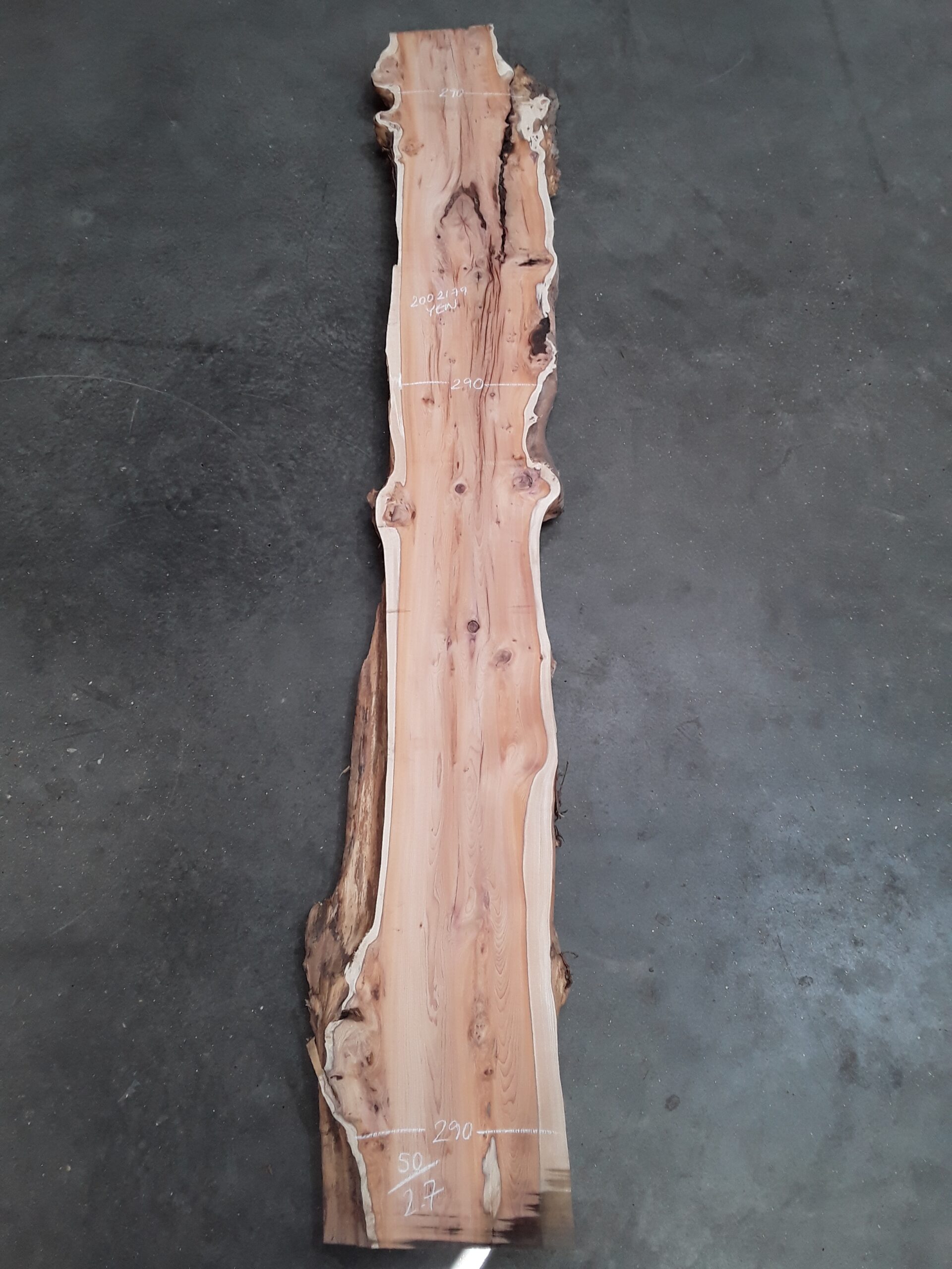 Yew - 50 mm x 290 mm x 2.7 m