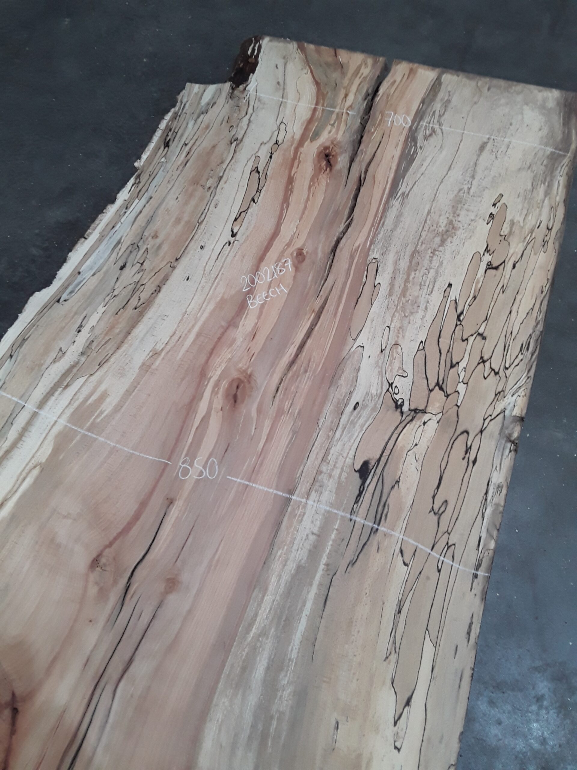 Beech - 22 mm x 760 mm x 2.2 m - Image 3