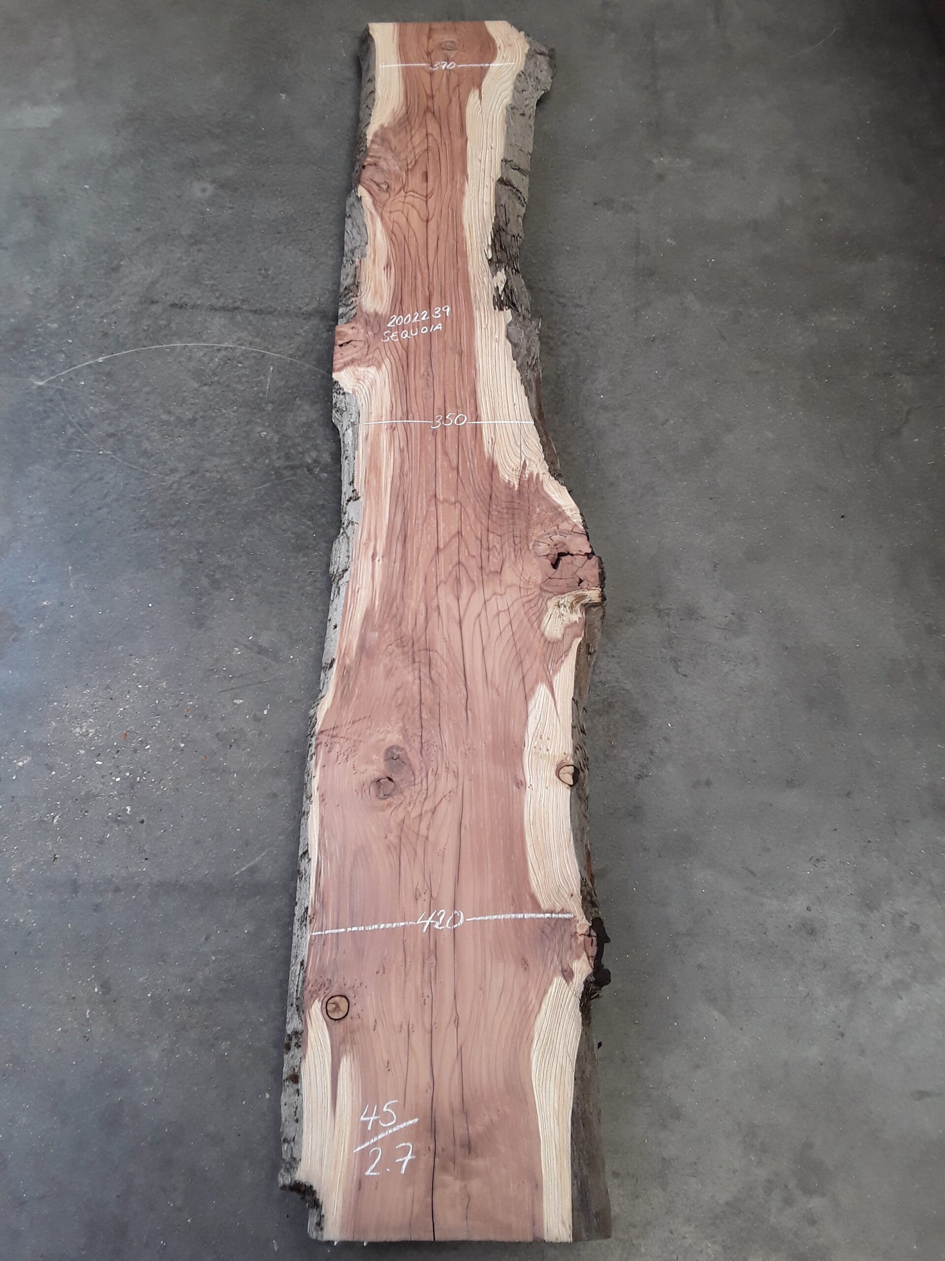 Bosch Cucina E Forno Ripiano And Accessories - Foto 10