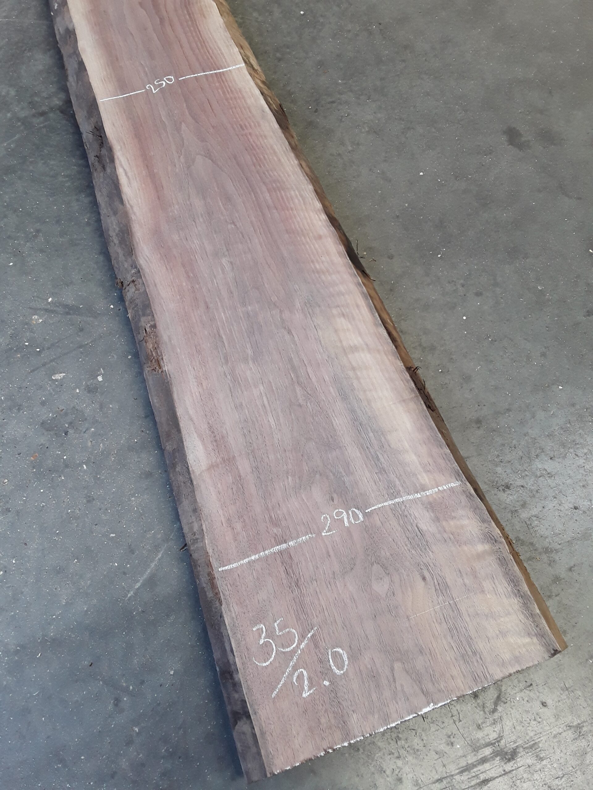 Gummipuffer Selbstklebend 8,0 X 3,0 Mm Bei