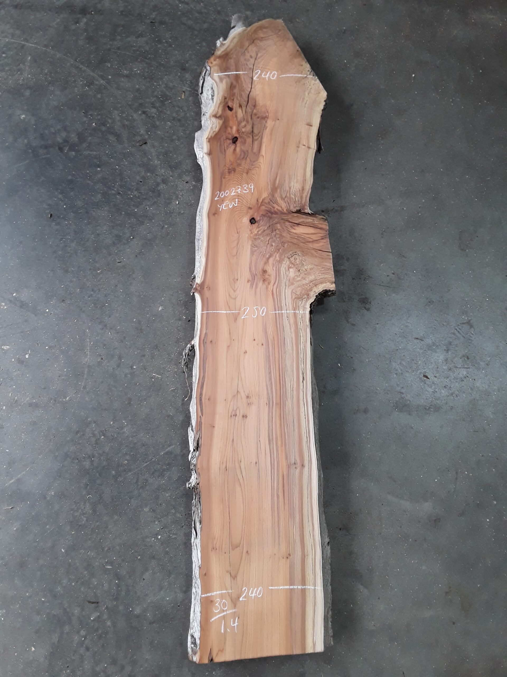 Yew - 30 mm x 240 mm x 1.4 m