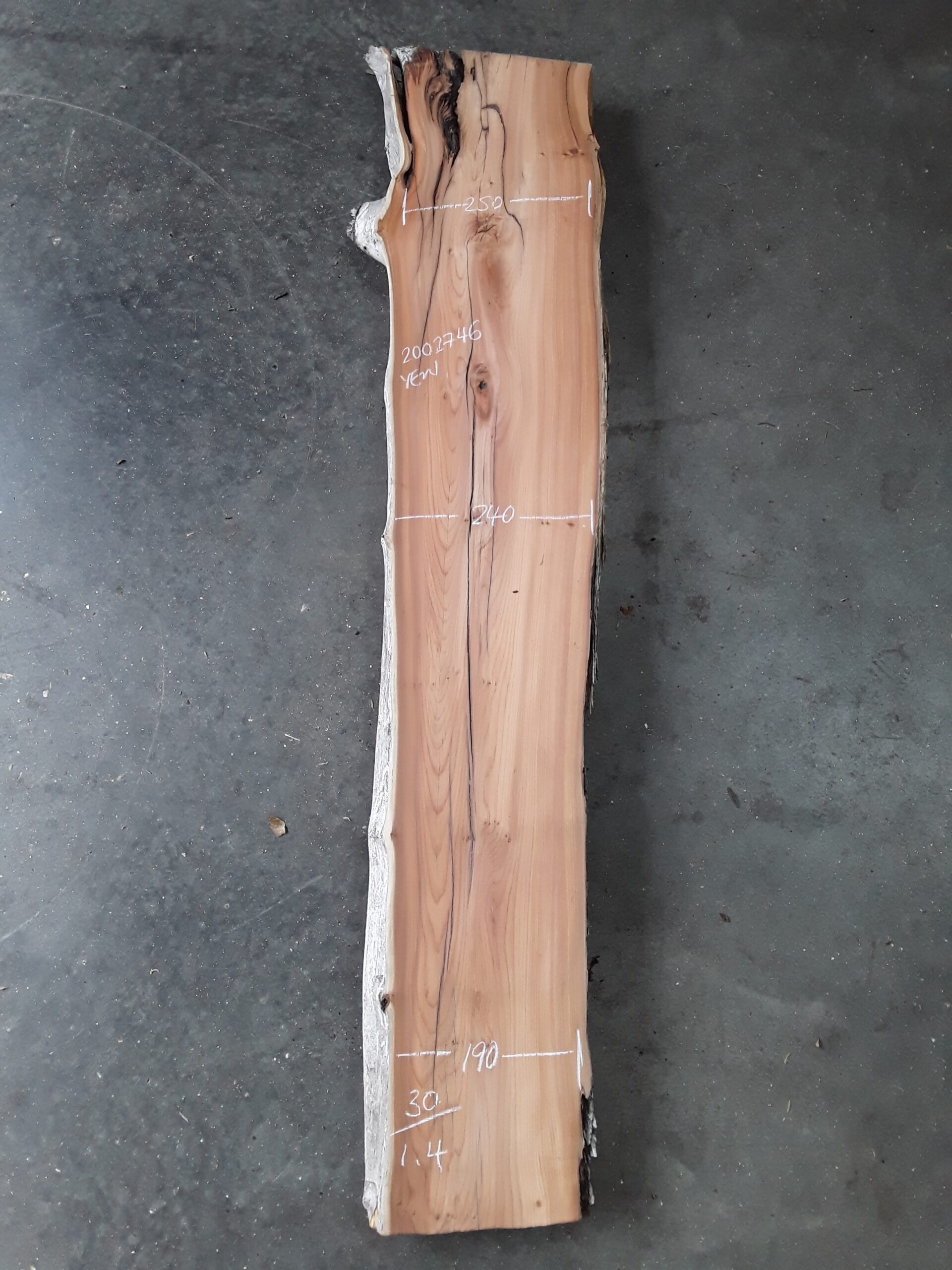 Yew - 30 mm x 220 mm x 1.9 m