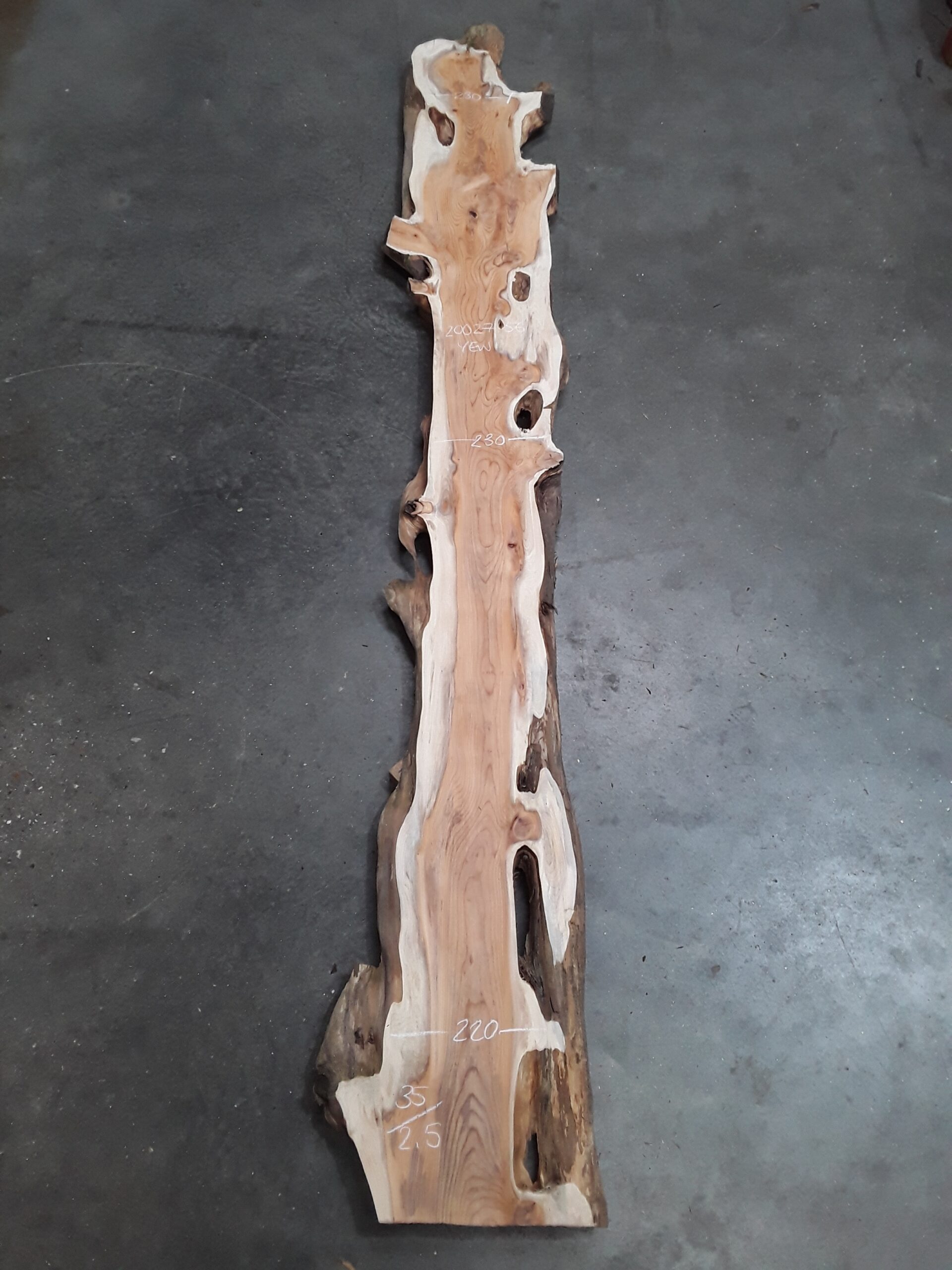 Yew - 35 mm x 230 mm x 2.5 m