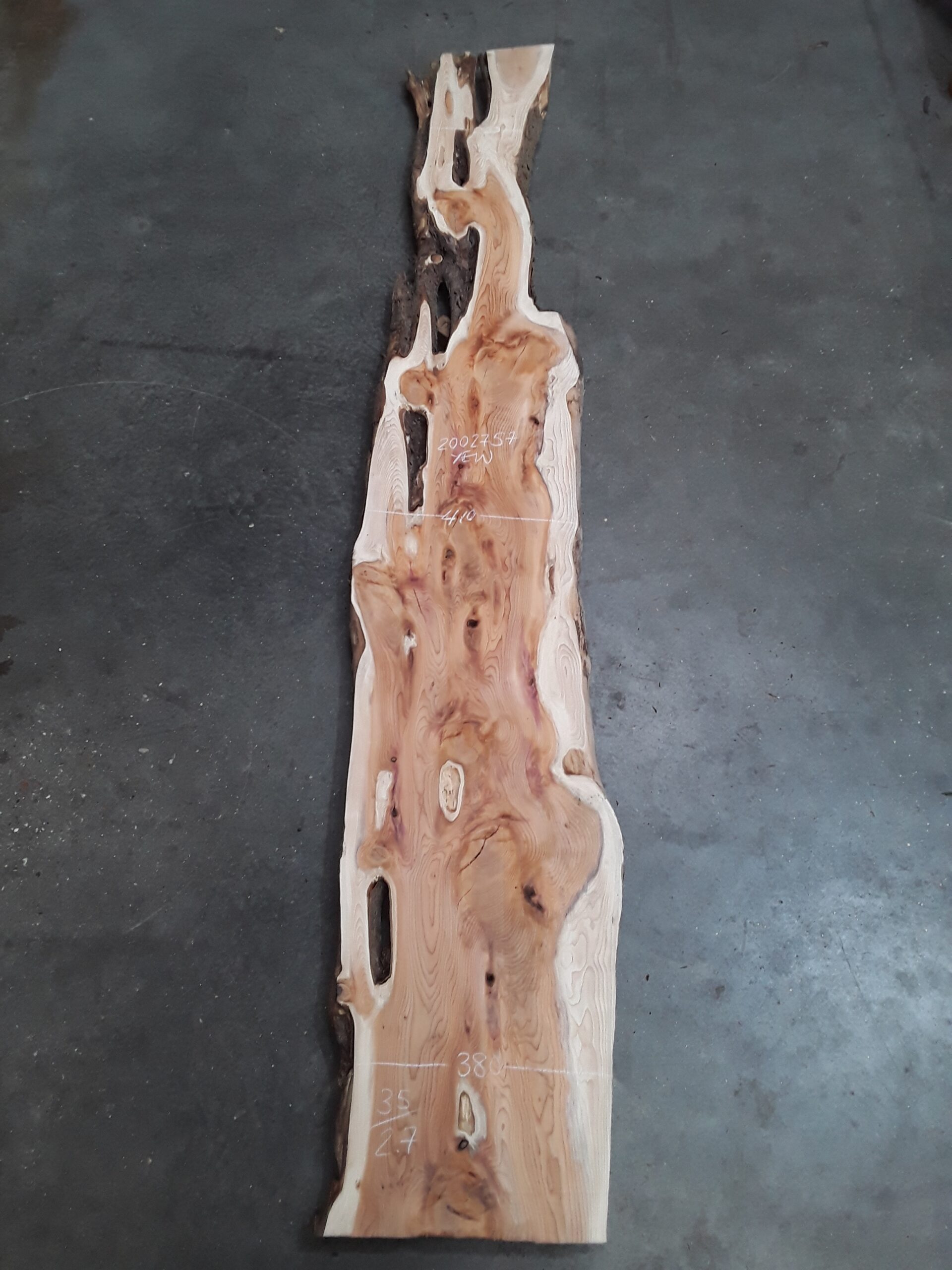 Yew - 35 mm x 330 mm x 2.7 m