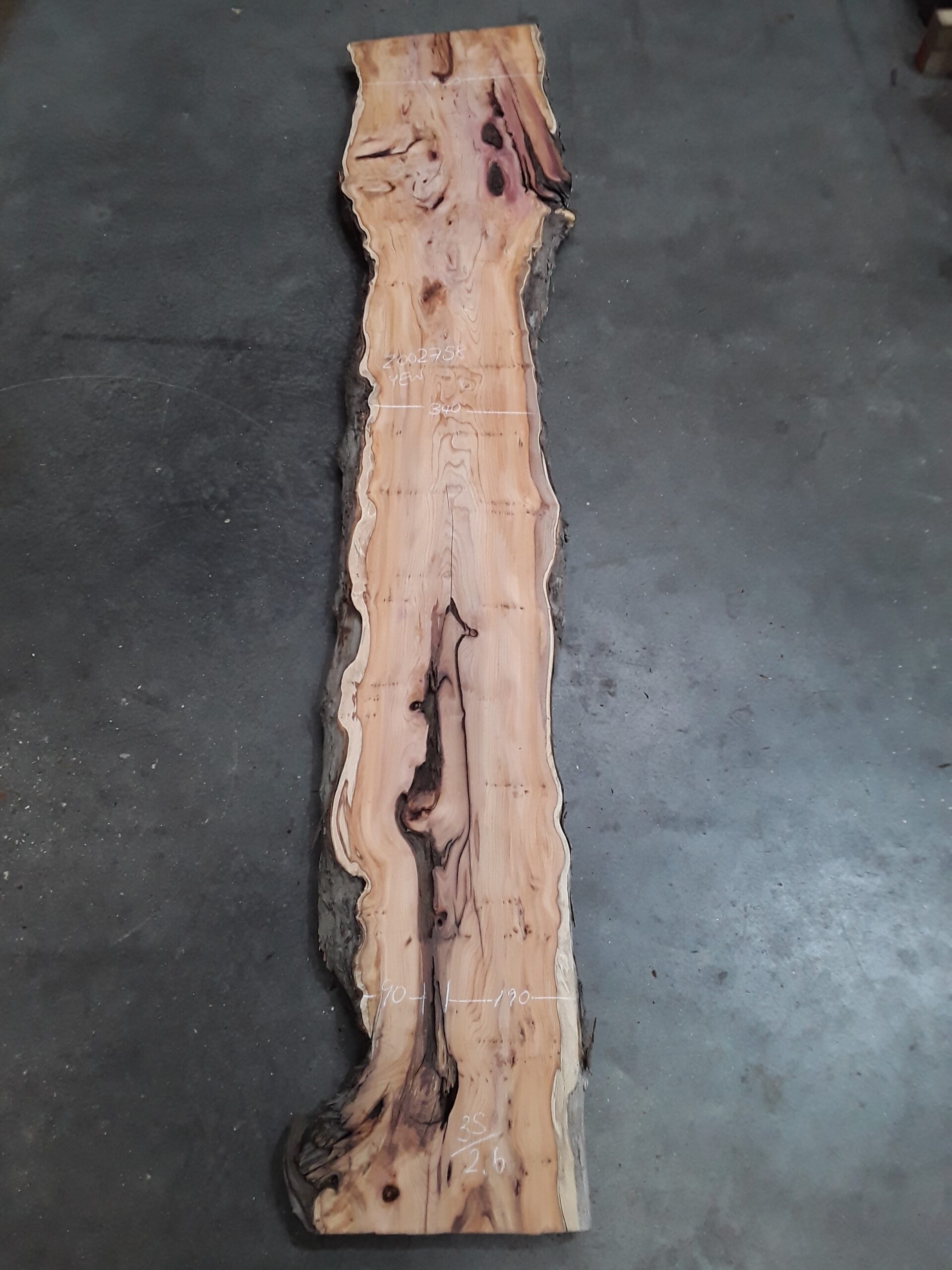 Yew - 35 mm x 350 mm x 2.6 m