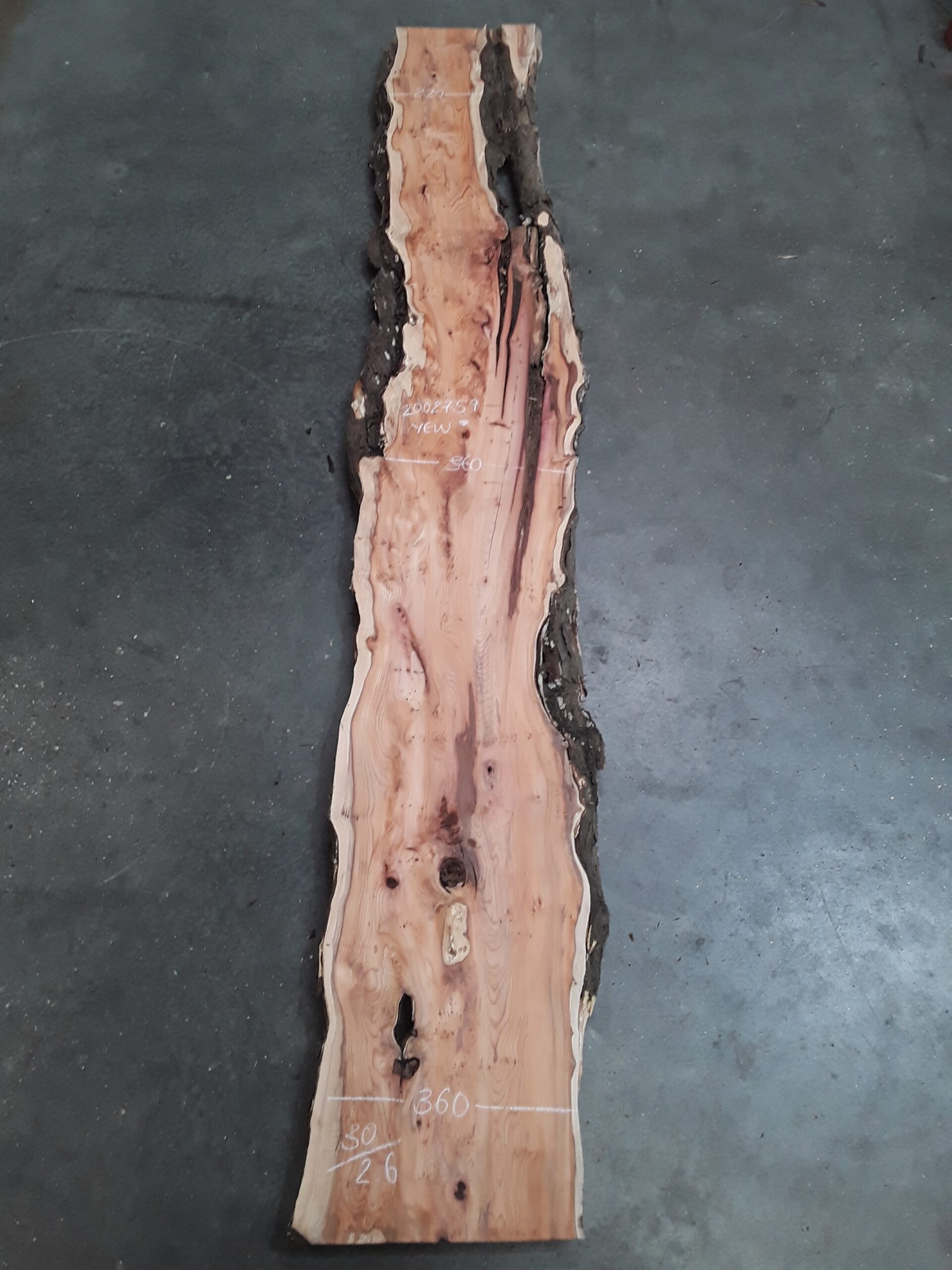 Yew - 30 mm x 310 mm x 2.6 m