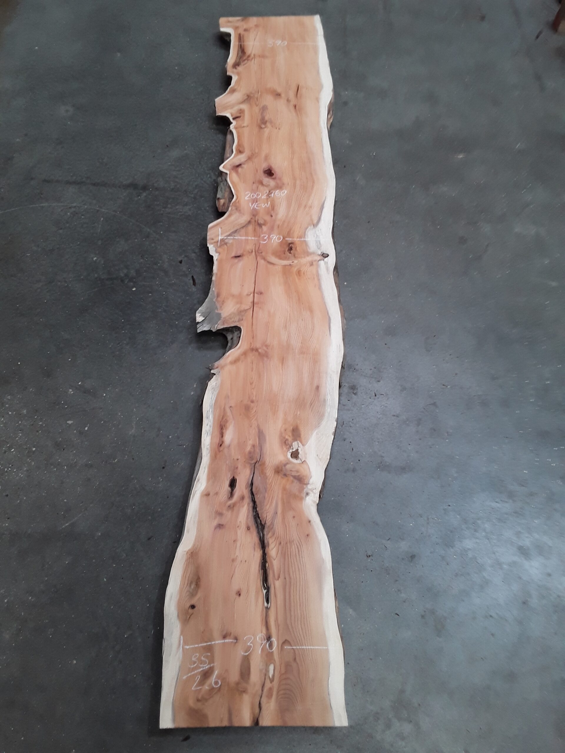 Yew - 35 mm x 390 mm x 2.6 m