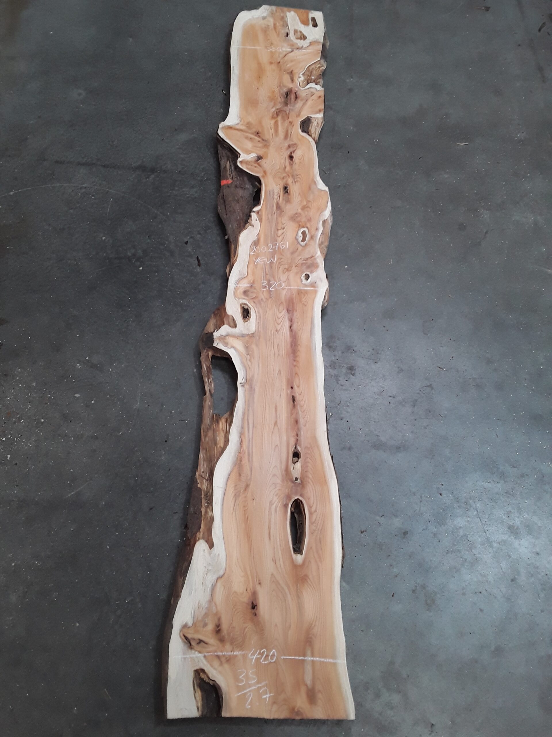 Yew - 35 mm x 370 mm x 2.7 m